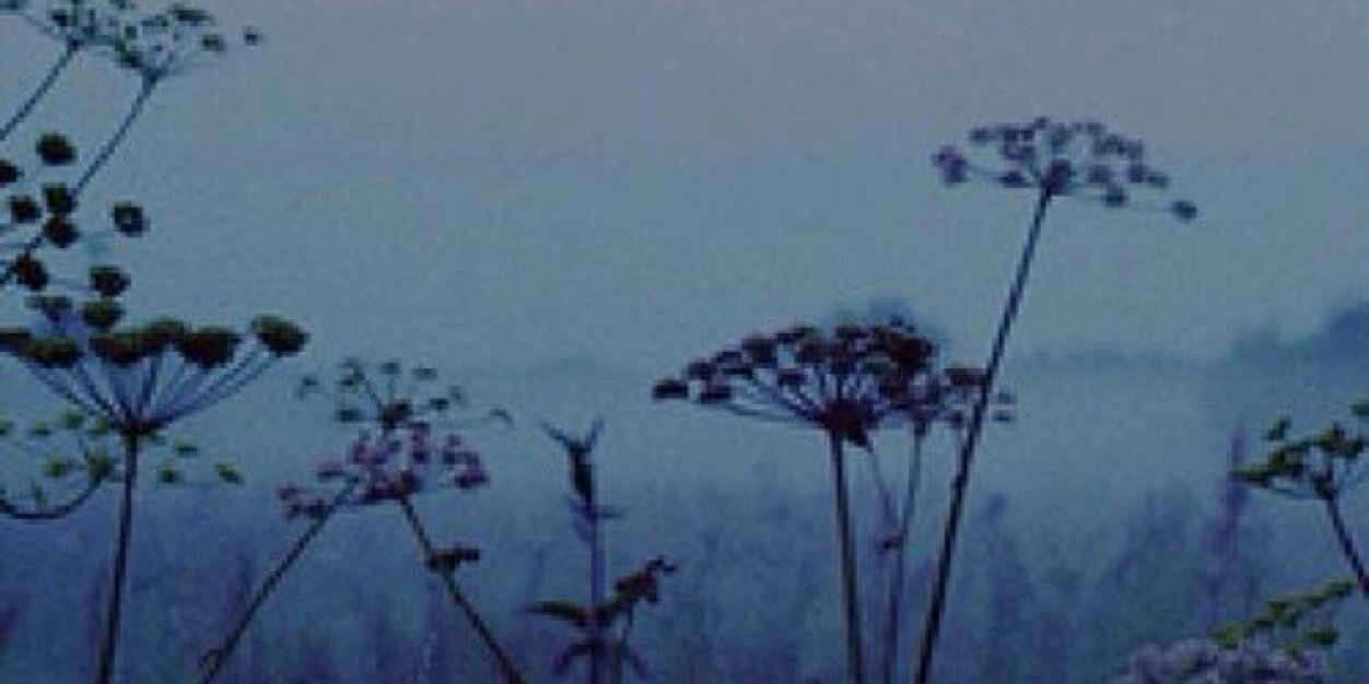 8_3ma's profile banner image
