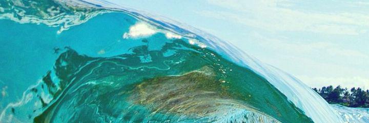 sashakin's profile banner image