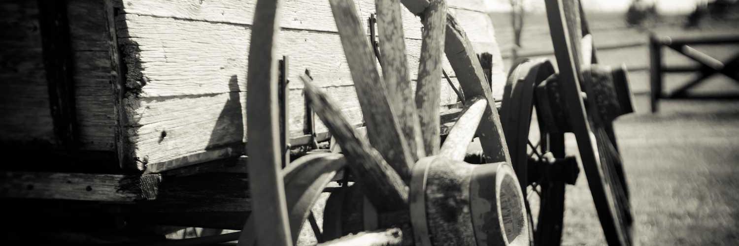 shadreck bako❤️ Memecoin banner