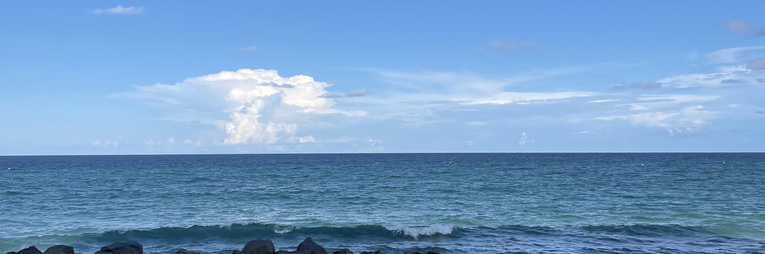 Ginger Henley banner