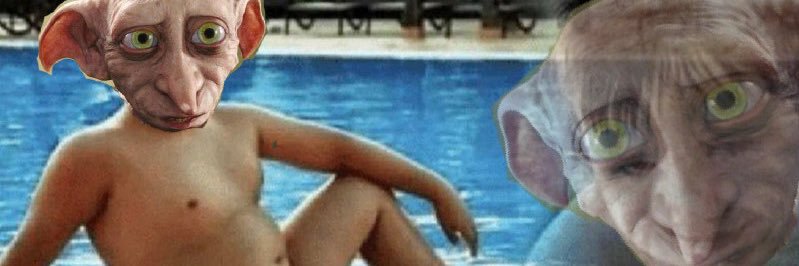 Dobby_gone_wild's profile banner image