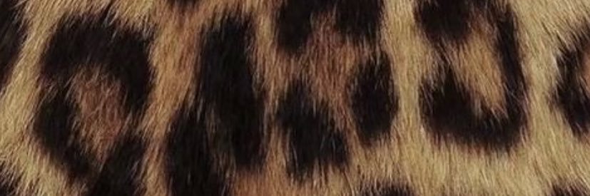 rie banner