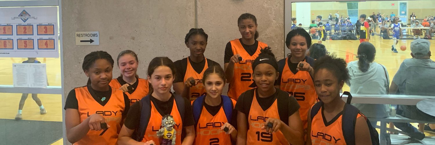 LadyHoopsOrange's profile banner image