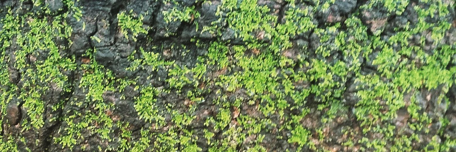 hectorsor's profile banner image