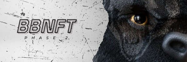 NftDomZ Profile Banner