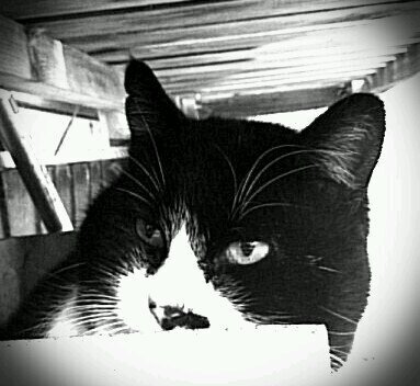 Dec24Sato's profile banner image