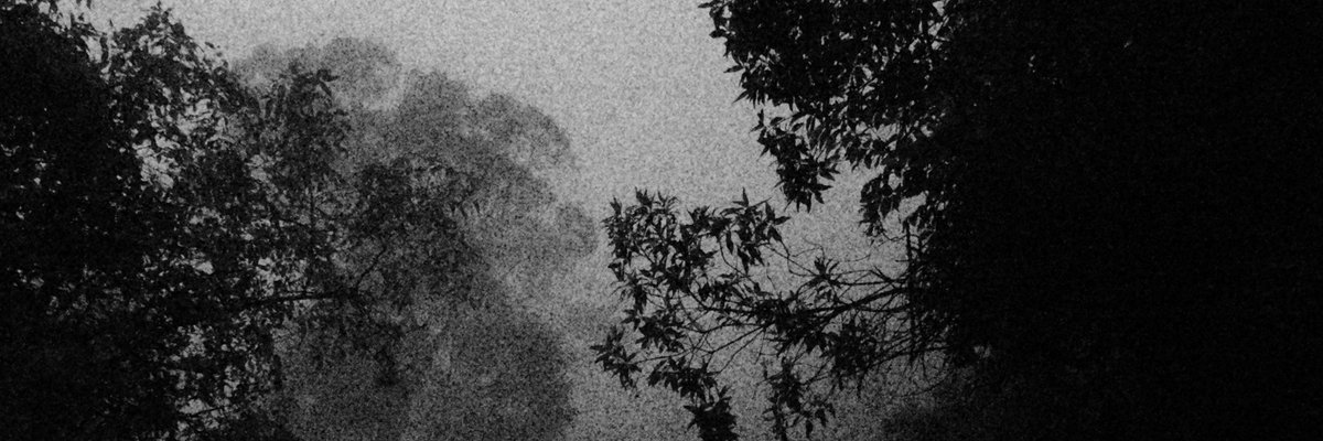 huelodeperro's profile banner image