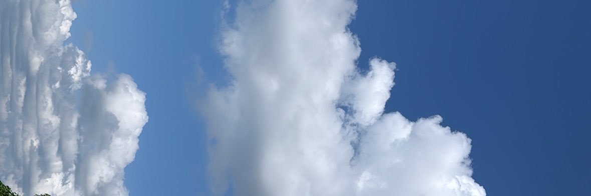 zinnodex's profile banner image