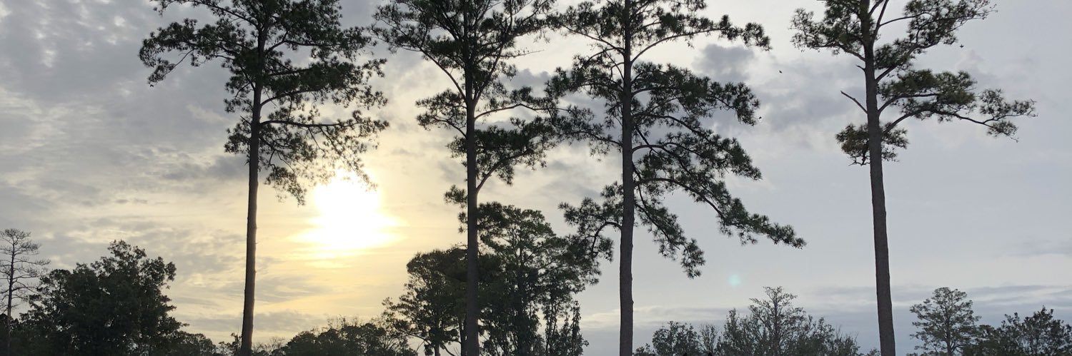 hcat5000's profile banner image
