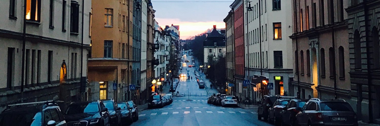 Kristoffer Triumf banner