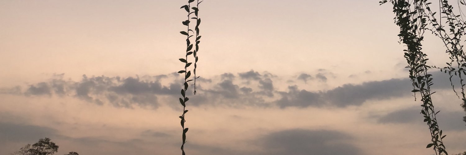 Chaelsya's profile banner image