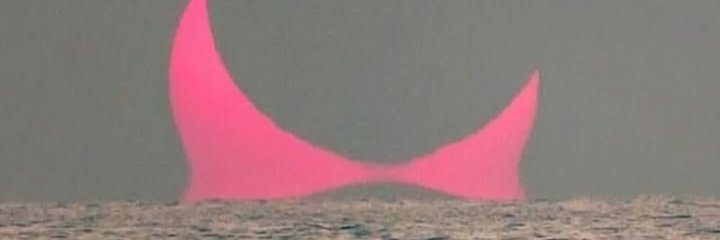 bachycha1's profile banner image