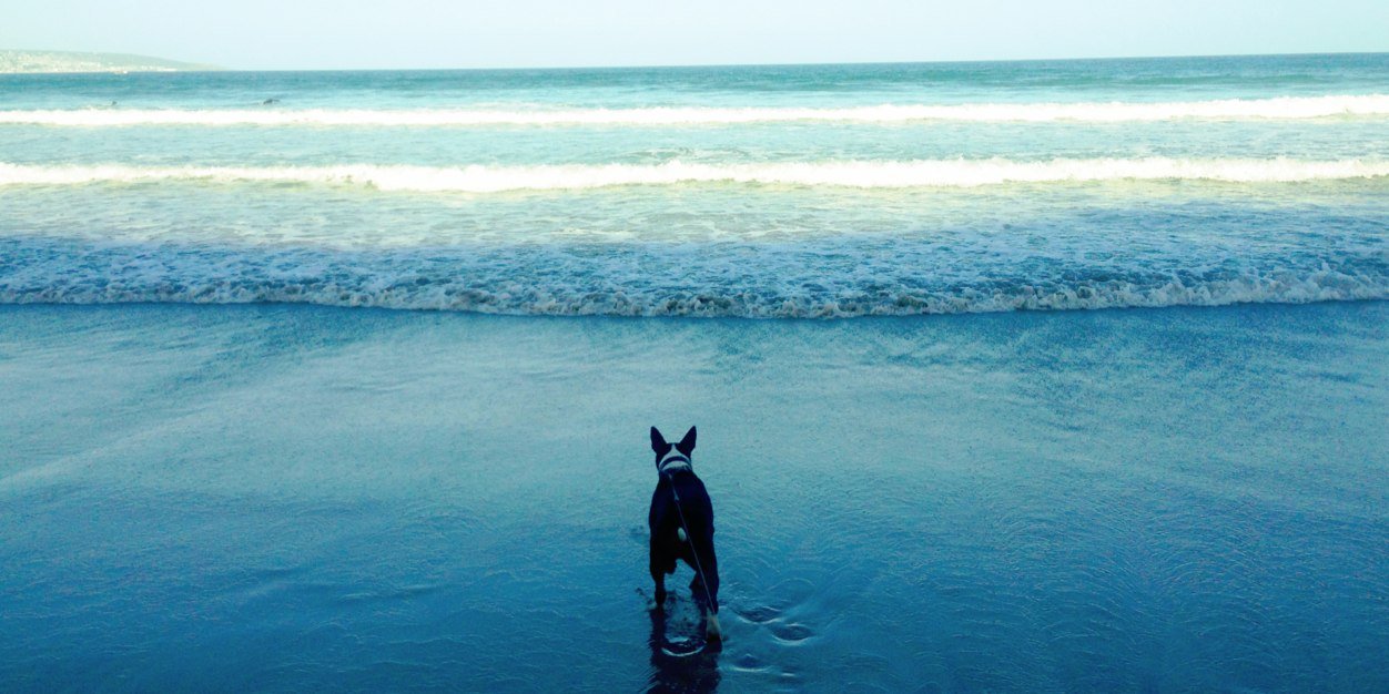 Neil Breakwell banner