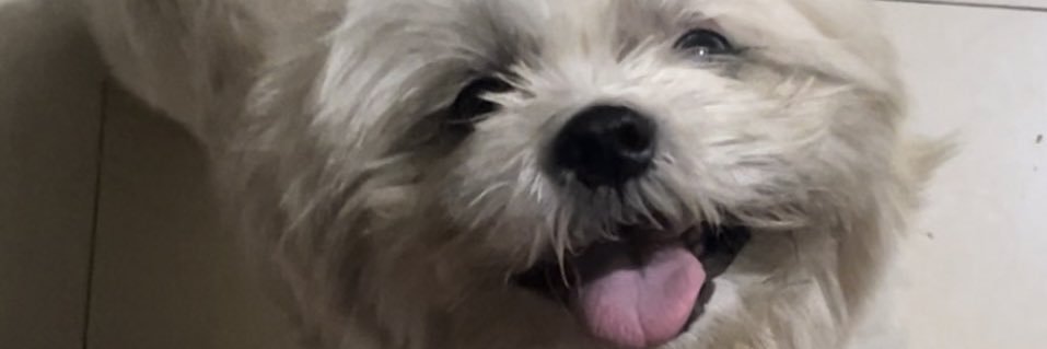michaelxabella's profile banner image