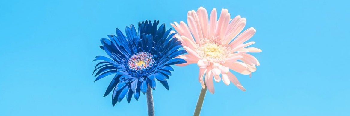 72co72's profile banner image