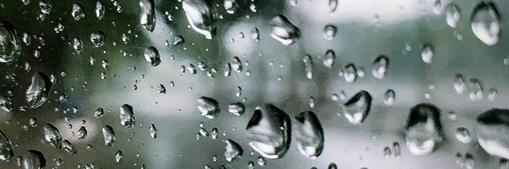 fvcalors's profile banner image