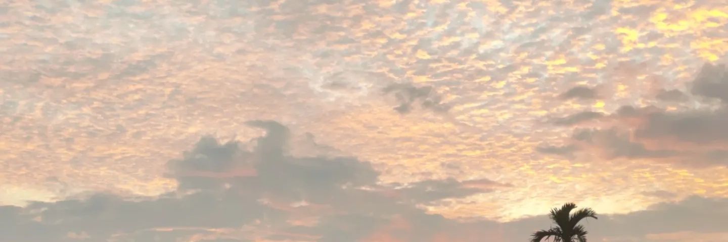 Koastalfire's profile banner image