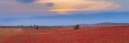 Azerbaïdjan en France banner