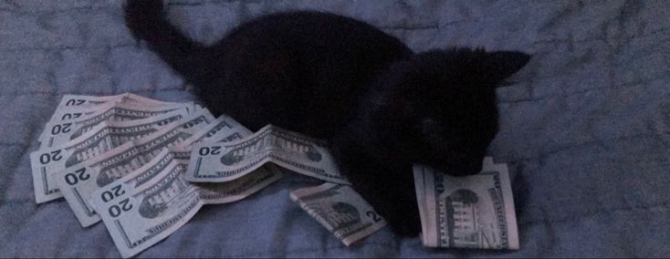 dagsyeboy's profile banner image