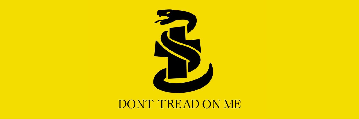 Un Cristo Cibernético Libertario 🇻🇦🐍 banner