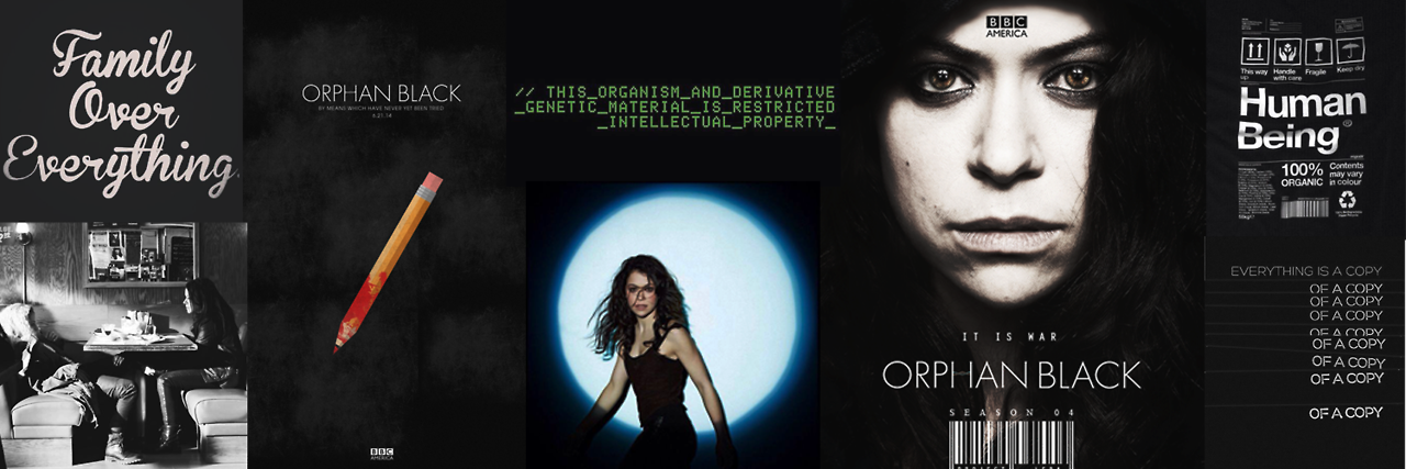 Orphan Black Brasil - (Echoes em 2023) banner