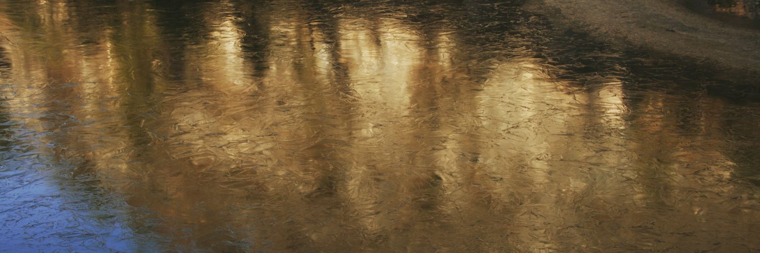 eri_effe's profile banner image