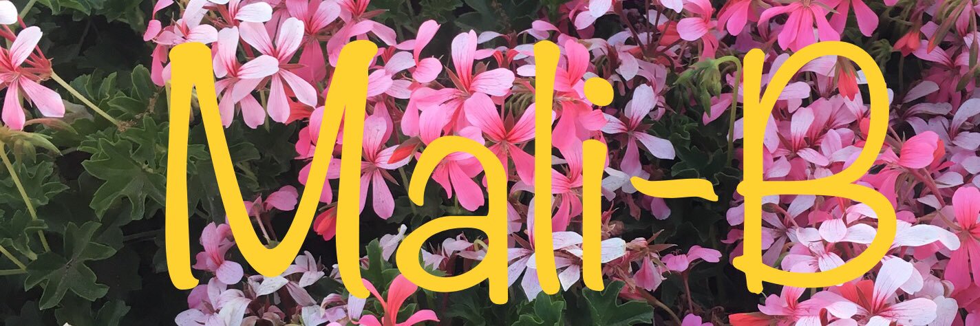 malibmusic's profile banner image