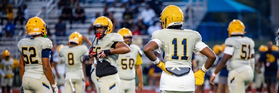 Isaiah Boins banner