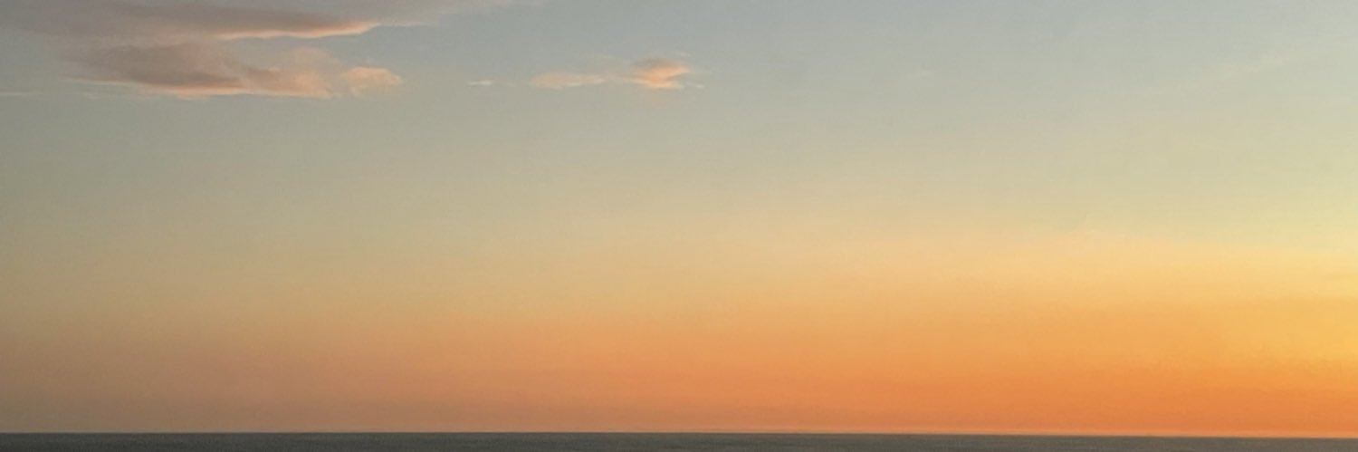 renzostansiola's profile banner image