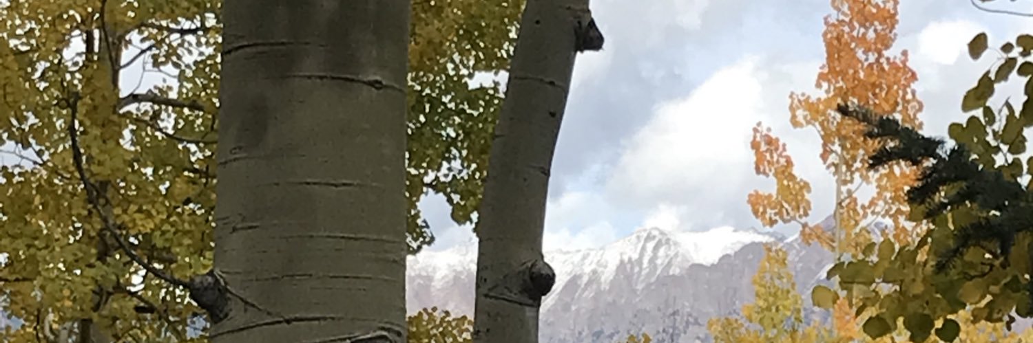 MrsVRakestraw's profile banner image