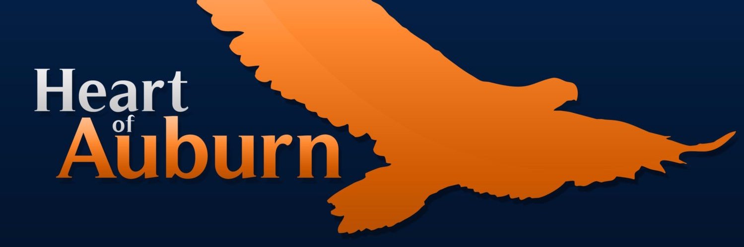 vibudhm's profile banner image