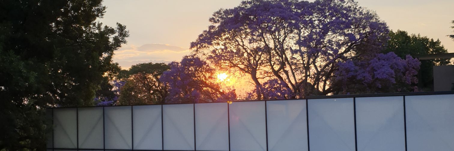 Mitch Gemmell banner