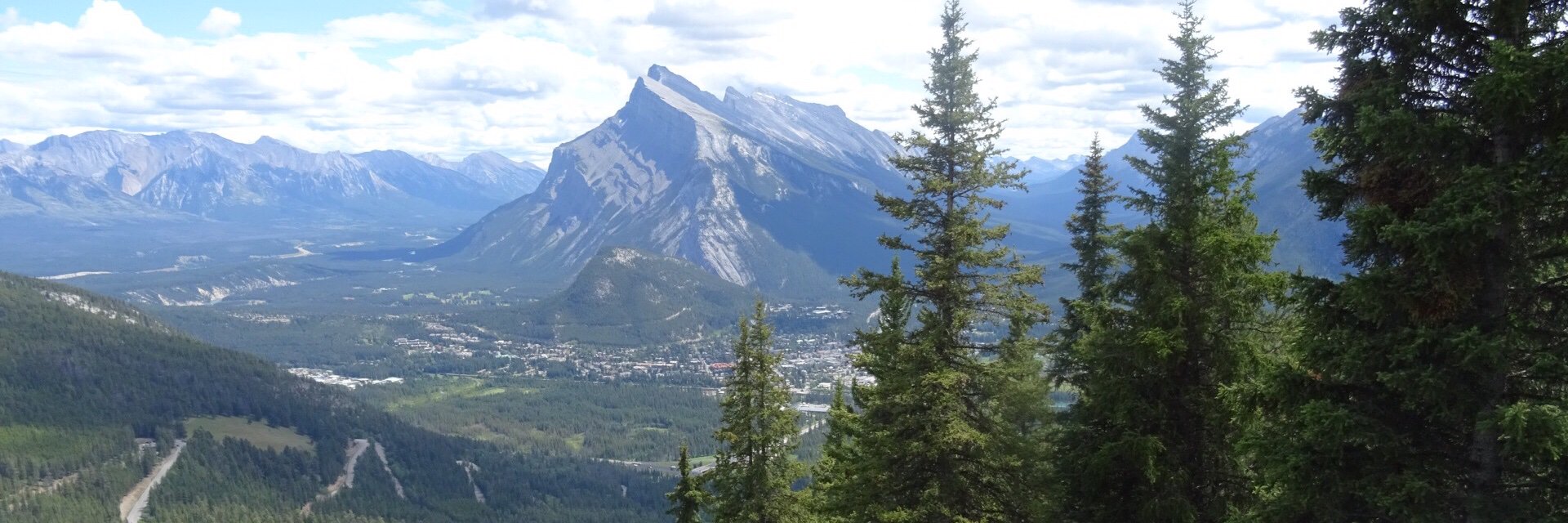 Monica Montague✌🏽🏳️‍🌈 banner