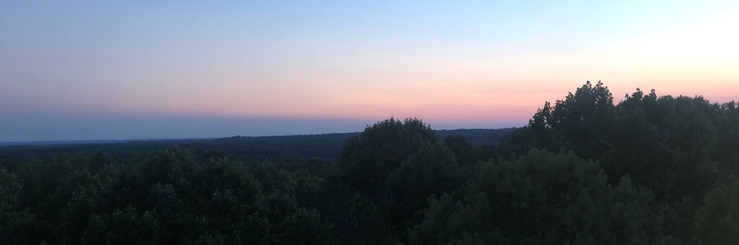 woahelle's profile banner image
