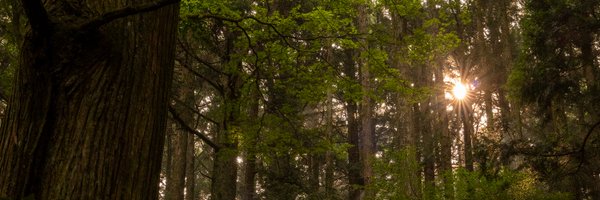 jjreeves Profile Banner