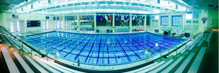 Bucknell Swim & Dive banner