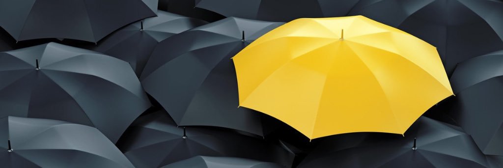 JuliaMazzafiore's profile banner image