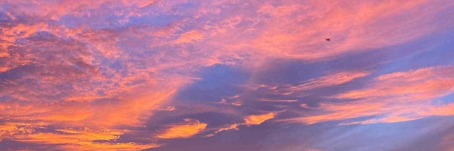 Pholsite🌙(busy) banner