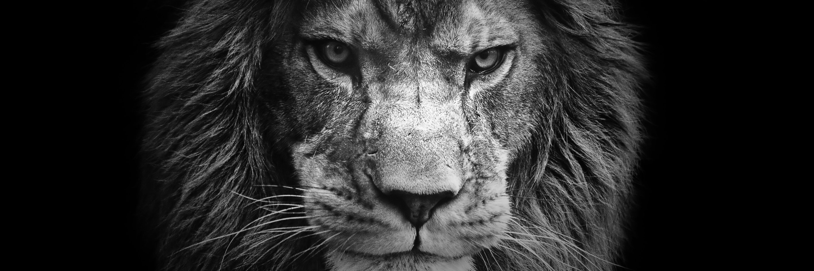 caioaugusto89's profile banner image