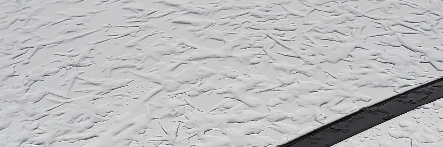 DicksForThee's profile banner image
