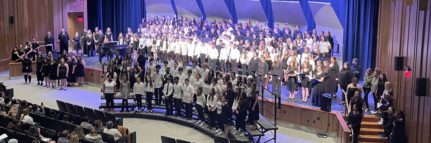 LCSD Fine Arts banner