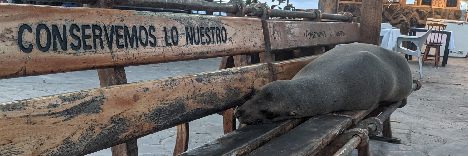 Elizabeth Newbury banner