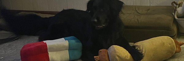 Aaronlee812 Profile Banner