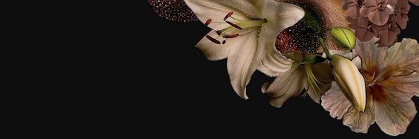 inocnteyes Profile Banner