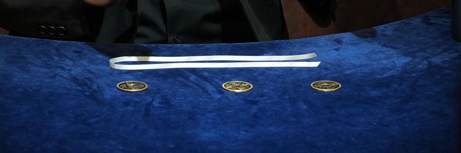 働き蜂/Hachi (蜂さん) banner