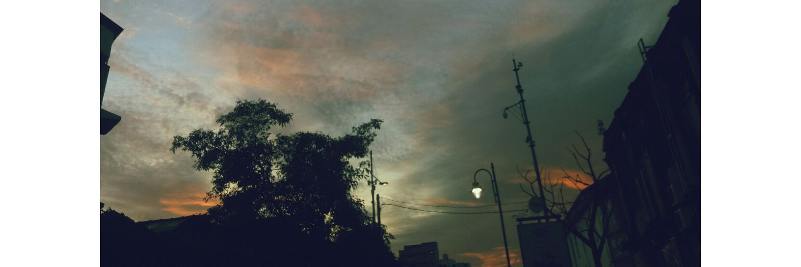 TheaMak's profile banner image