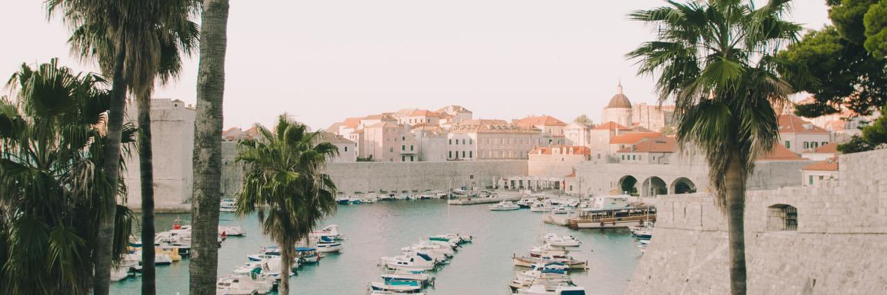 Vatican Banker🌴🇻🇦 banner