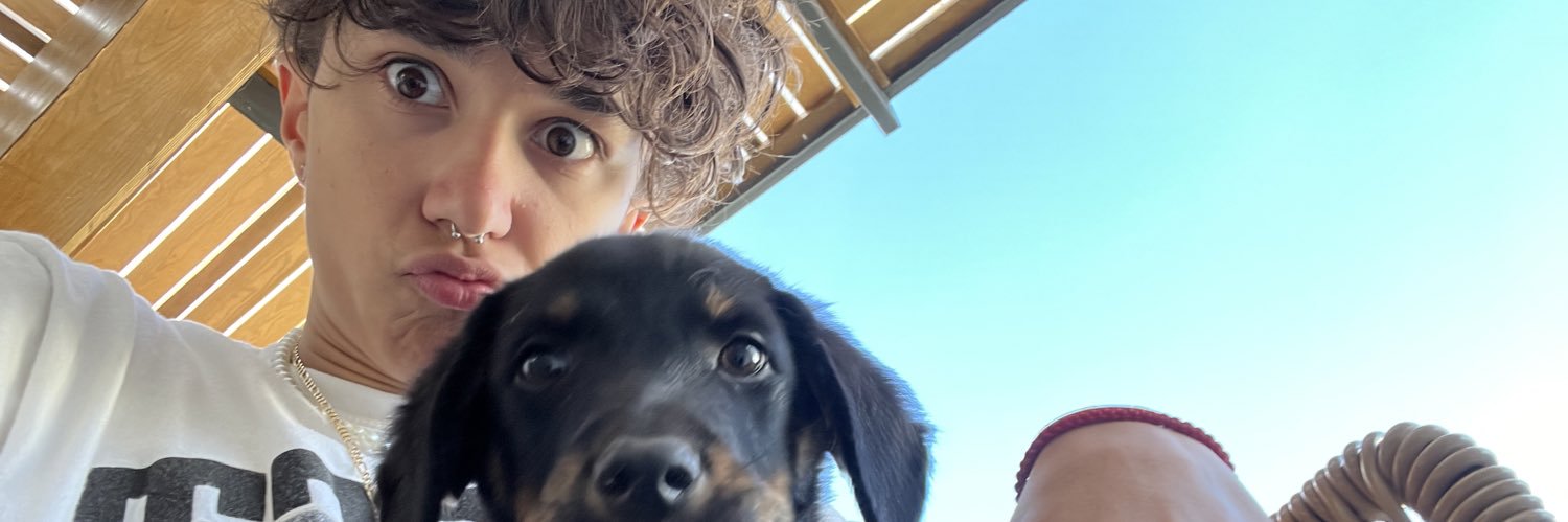 thepackinmario's profile banner image