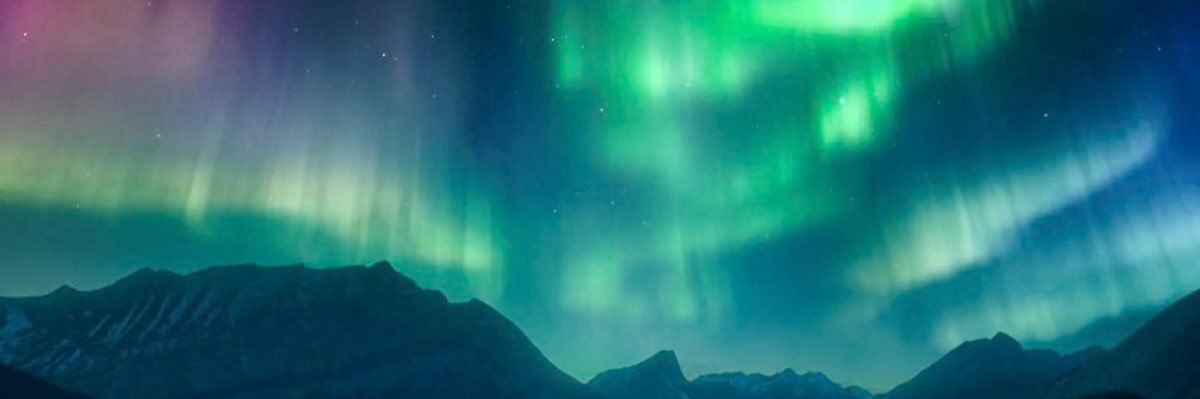 annisarynirmala's profile banner image
