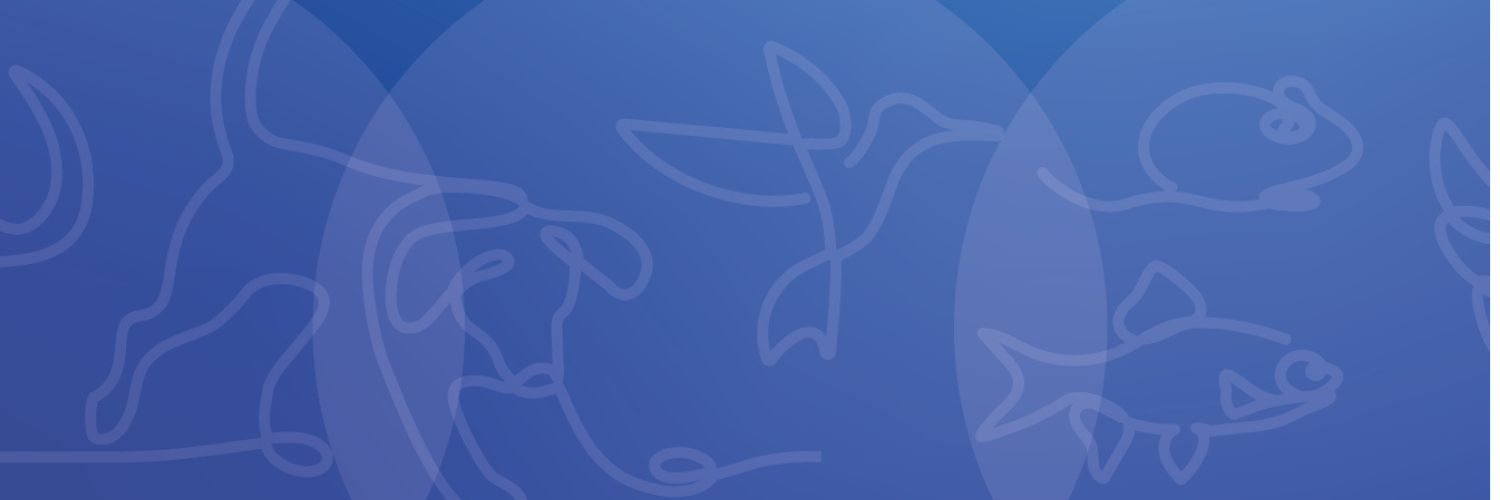 Animal Welfare_The Journal's banner